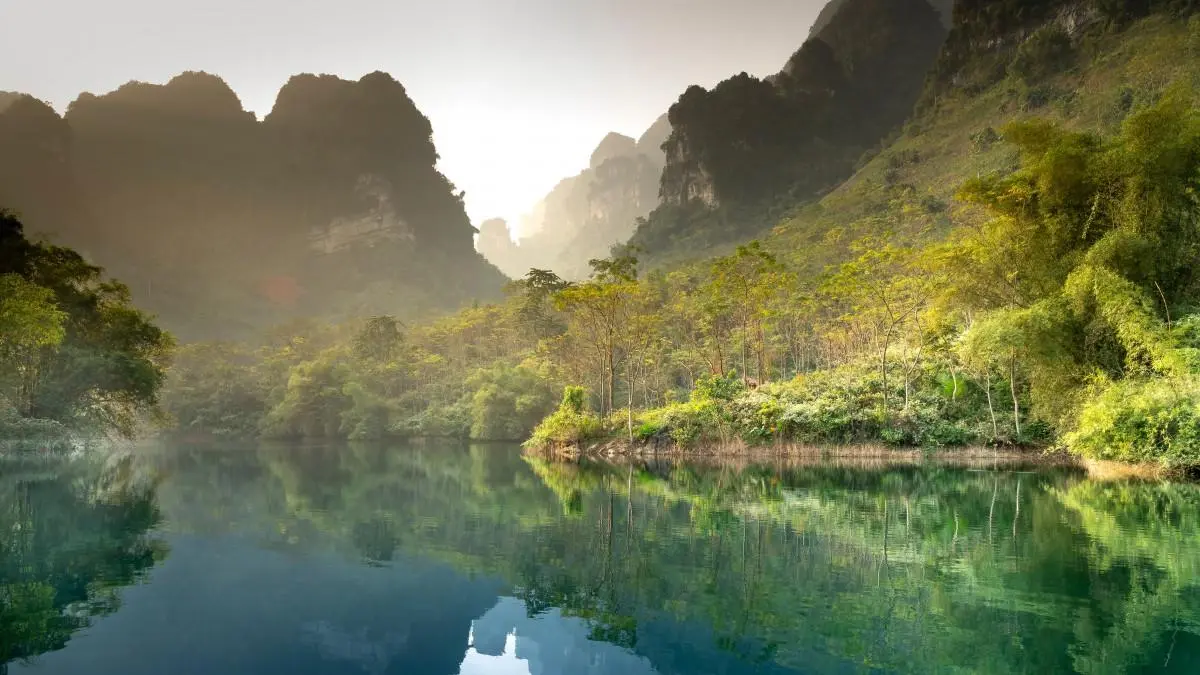 高效工业绿色